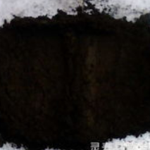 出售62.5品铁精粉，原矿石打磨，硫3，钛0.4，价格550
